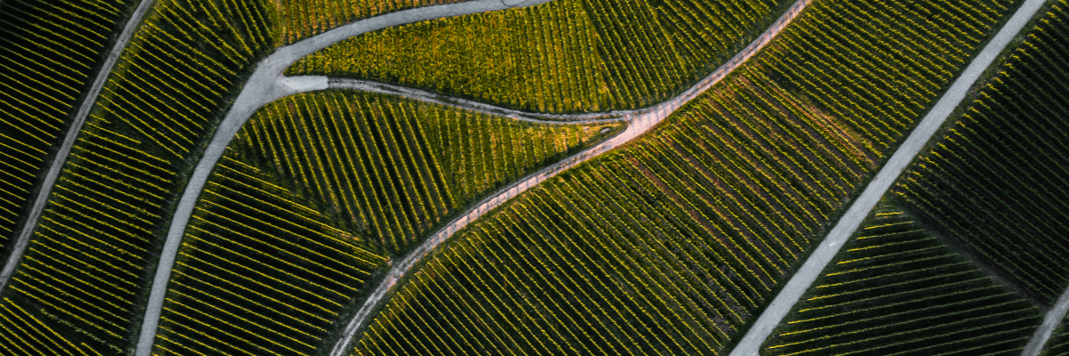 Ab Sortiment durch Weißwein: das Hof Stöbere Weine