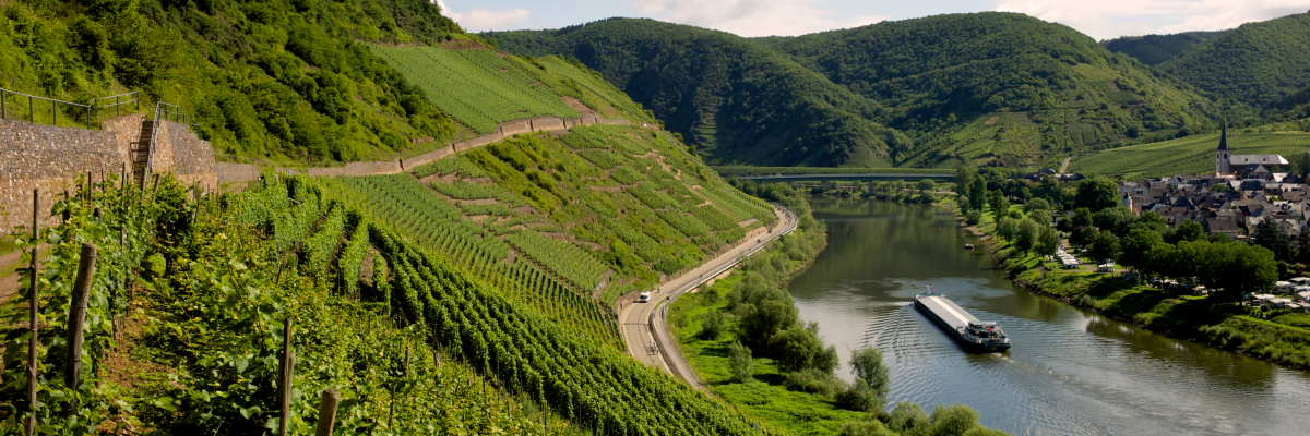 Mosel