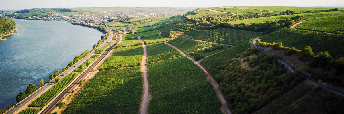 Rheinhessen